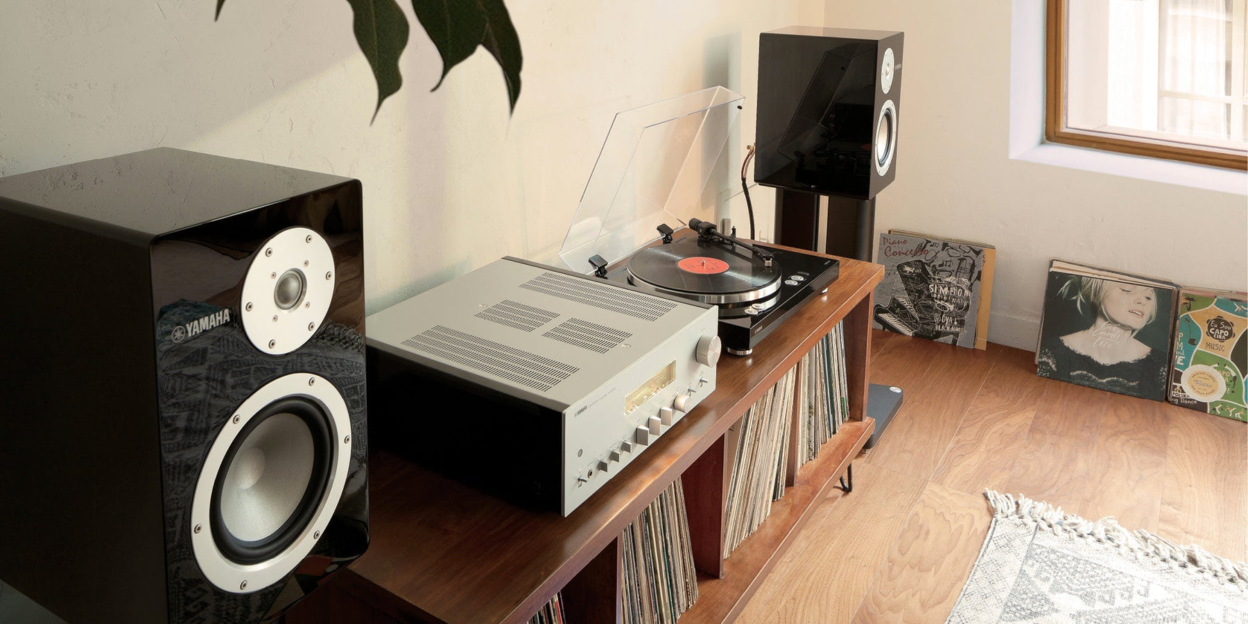 Les 5 piliers de l'écoute pour audiophile | SONXPLUS Sorel-Tracy