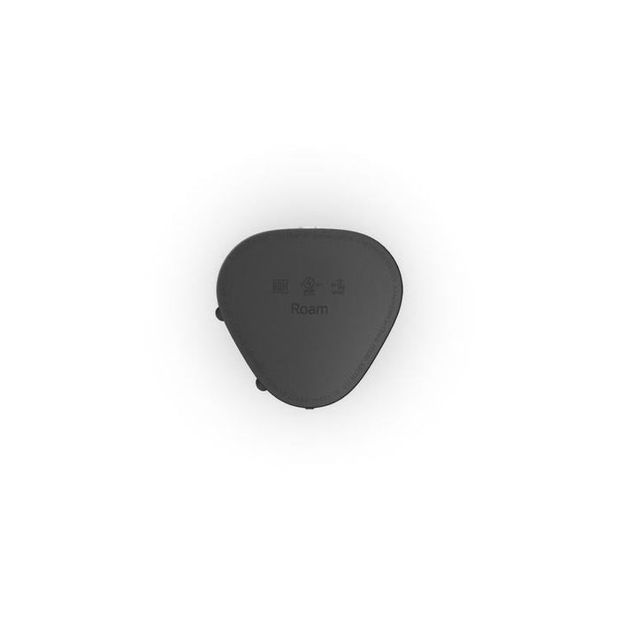 Sonos Roam | Haut-parleur portatif - Bluetooth - Wi-Fi - Étanche - Couplage Stéréo - Noir-Sonxplus Sorel
