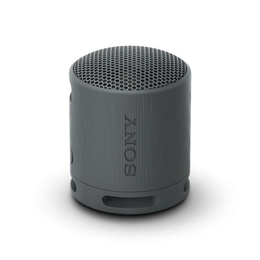 Sony SRS-XB100 | Haut-parleur portatif - Sans fil - Bluetooth - IP67 - Noir-Sonxplus Sorel