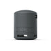 Sony SRS-XB100 | Haut-parleur portatif - Sans fil - Bluetooth - IP67 - Noir-Sonxplus Sorel