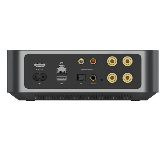 WiiM AMP | Streaming Audio - Amplificateur de classe D à 2 canaux de +60W