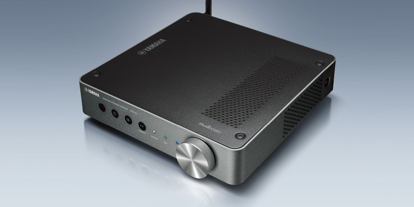 Network player | SONXPLUS Granby