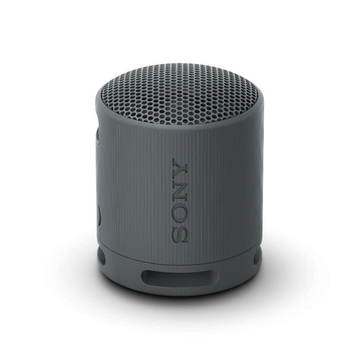 Sony SRS-XB100 | Portable speaker - Wireless - Bluetooth - IP67 - Black-Sonxplus Sorel